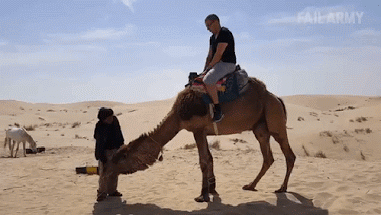 RIDE A CAMEL THROUGH THE DESERT Five Animal Experiences To Add To Your ‘Round The World Trip