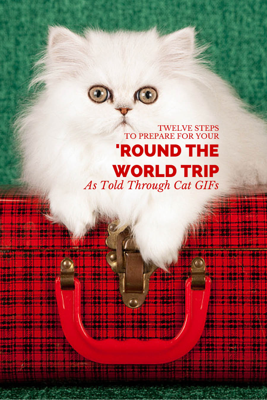 Twelve Steps to Prepare for Your 'Round the World Trip, As Told Through Cat GIFs